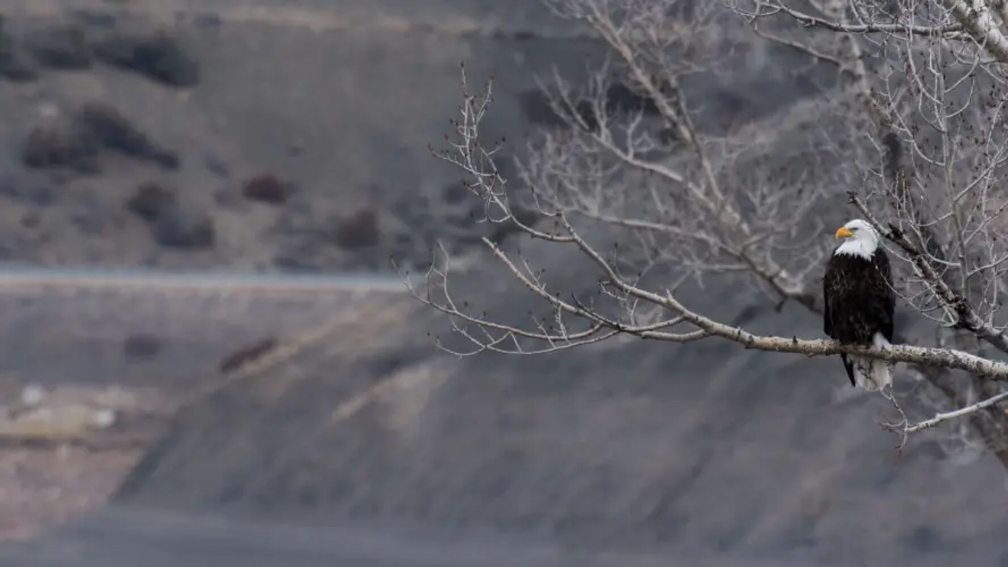 Cover for Terry Lee Blanchard's Obituary