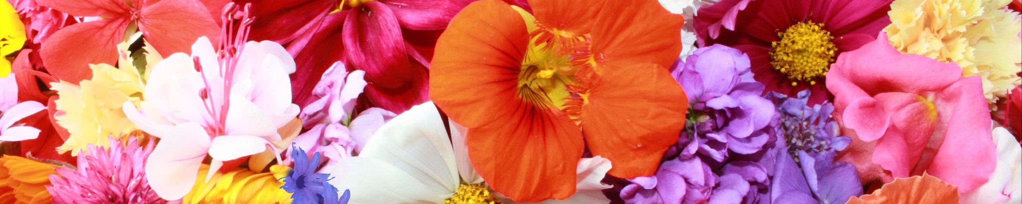 Cover photo for Marianna Monistere Mayeaux's Obituary