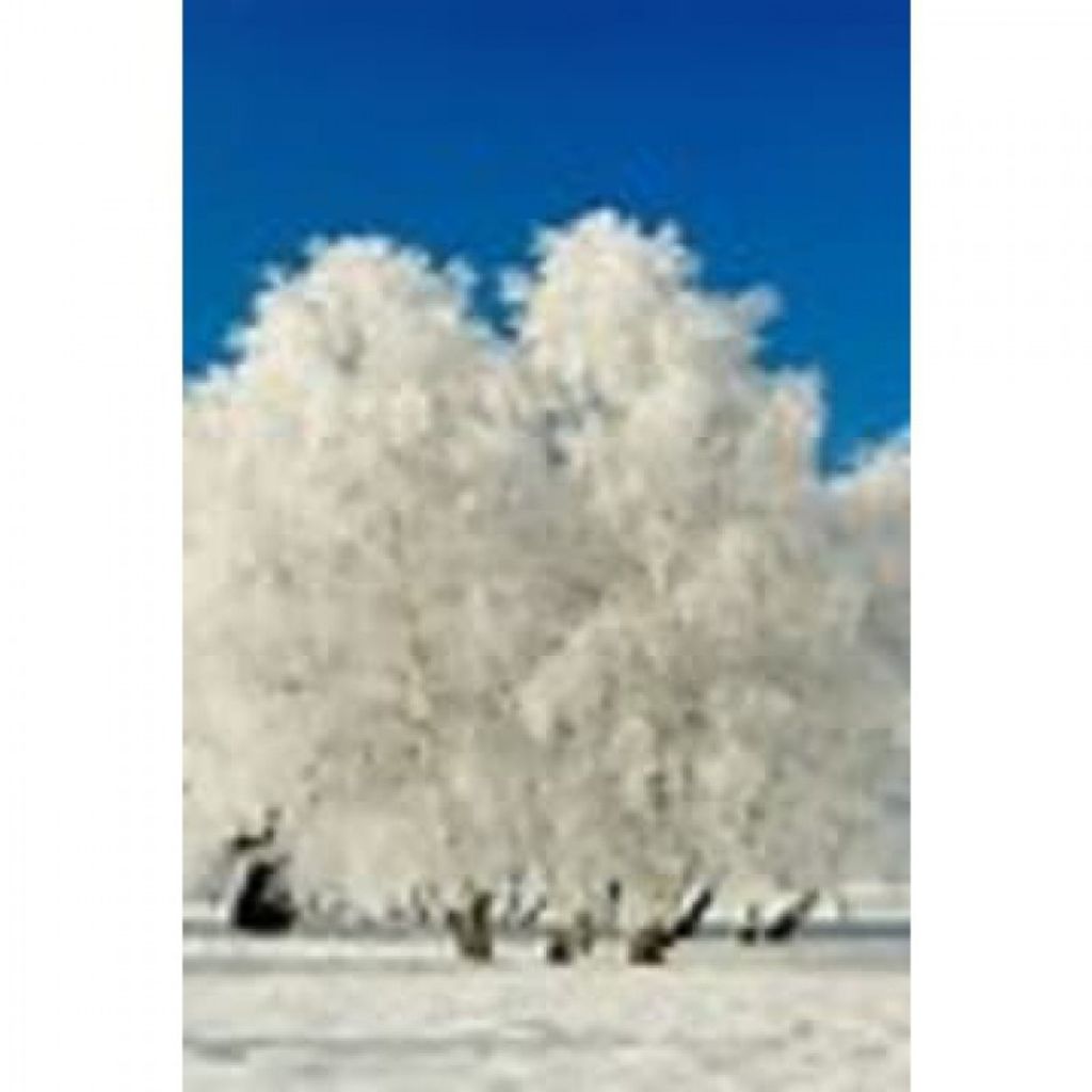 James C. Wittle Profile Photo