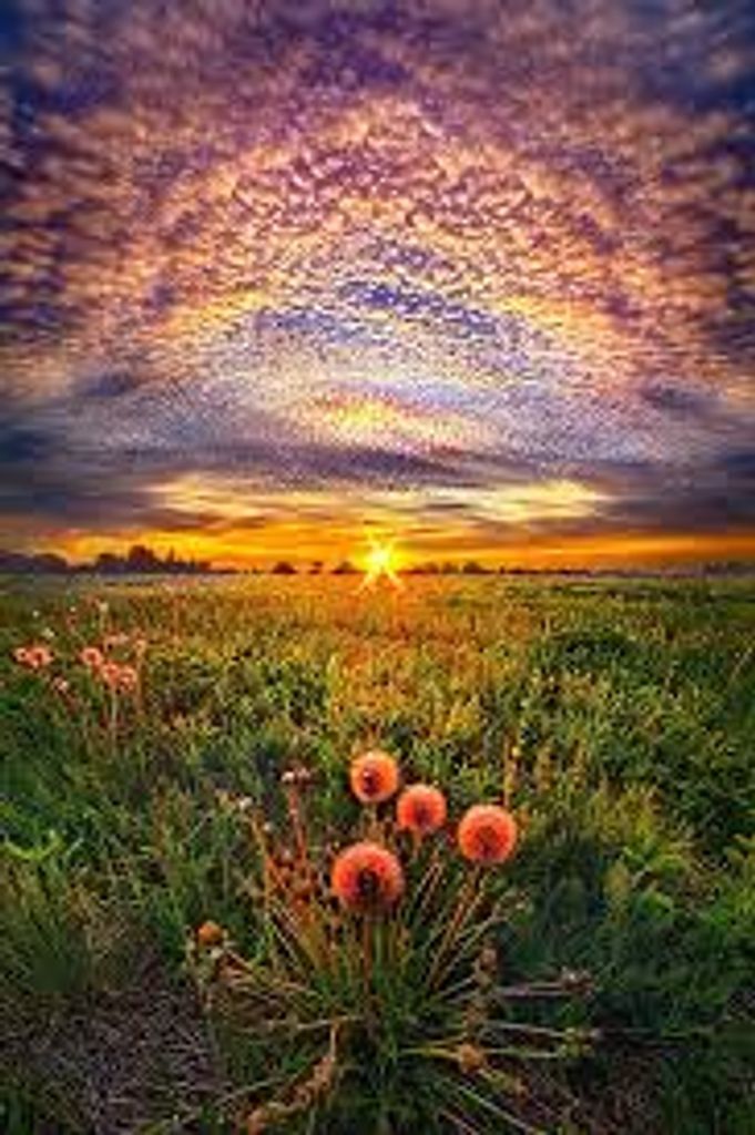 Nancy Ruth Griffin Profile Photo