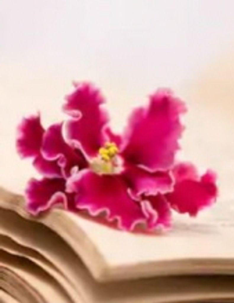 Edna M. Mcabee Smith