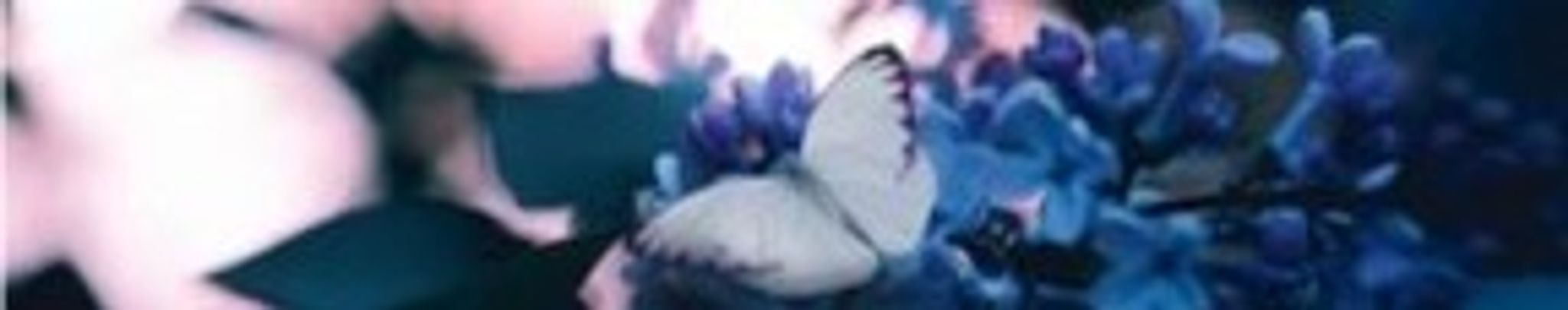 Cover photo for Norine Eda Stark's Obituary