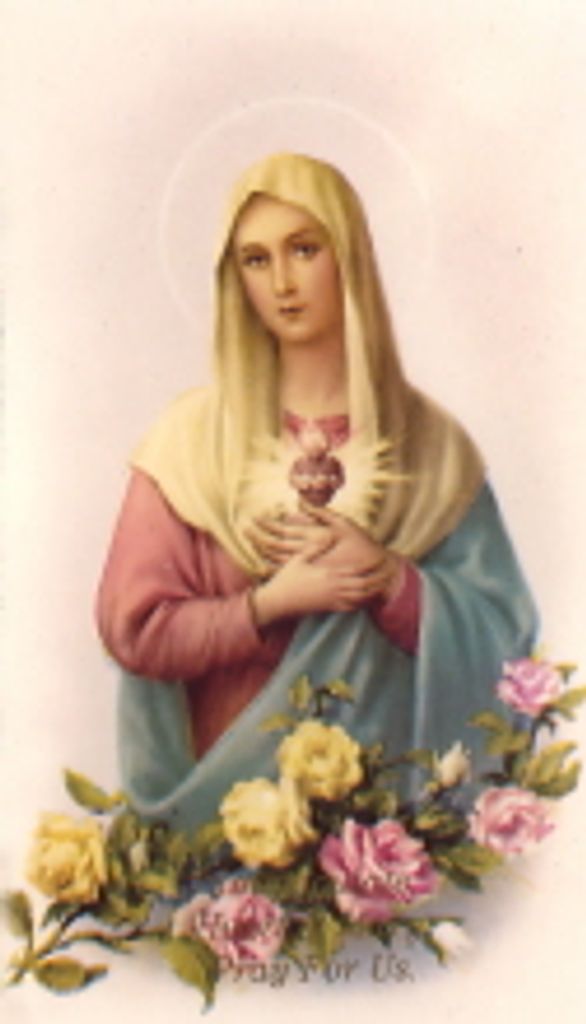 Wilma  Faye (Nee Douglas)  Tucci