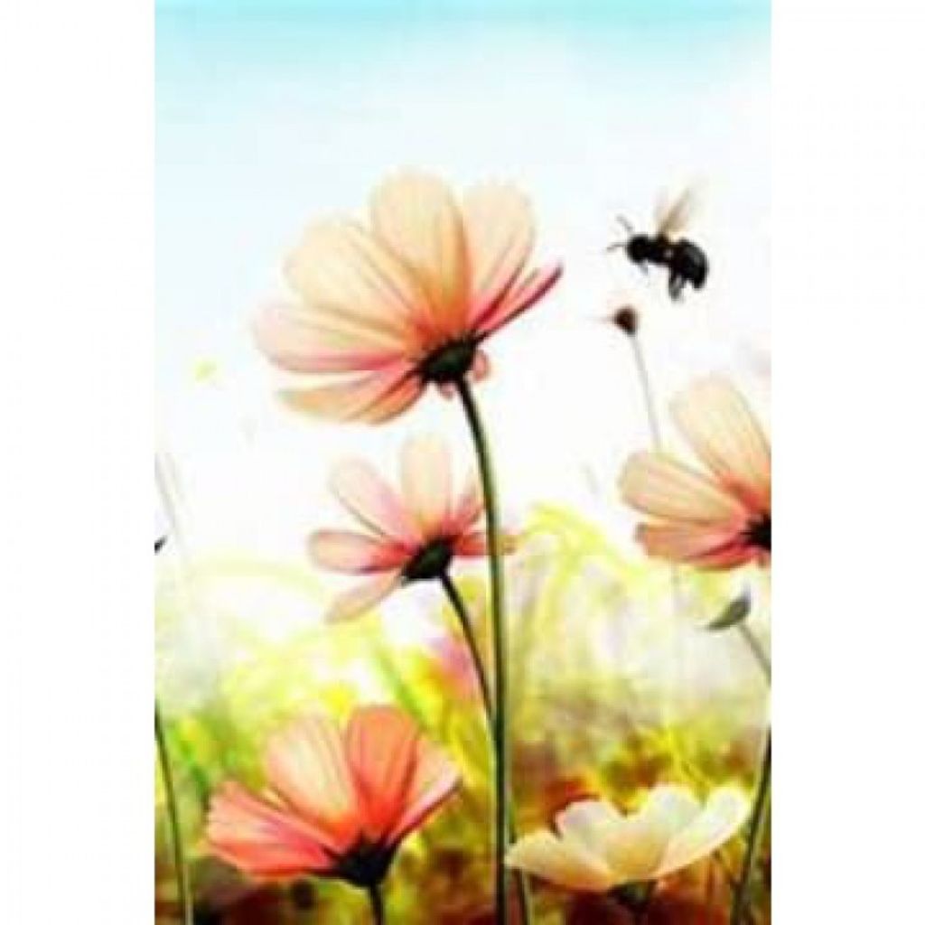 Maureen Bede Slickers Profile Photo