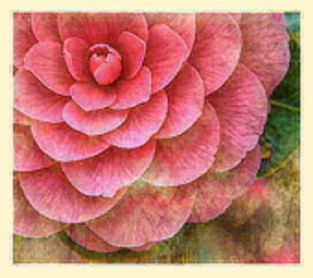 Helen Davis Long Tyree