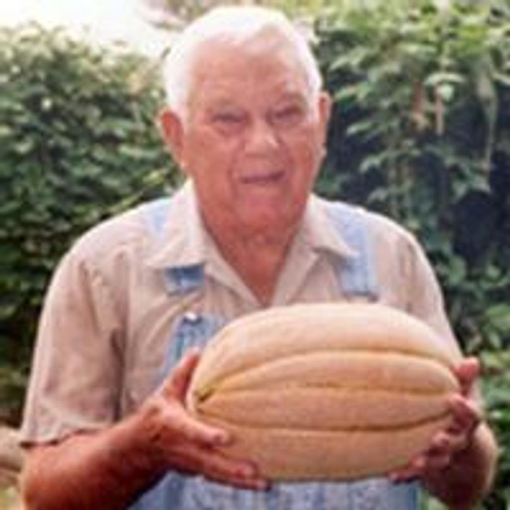 Robert D. Whitaker