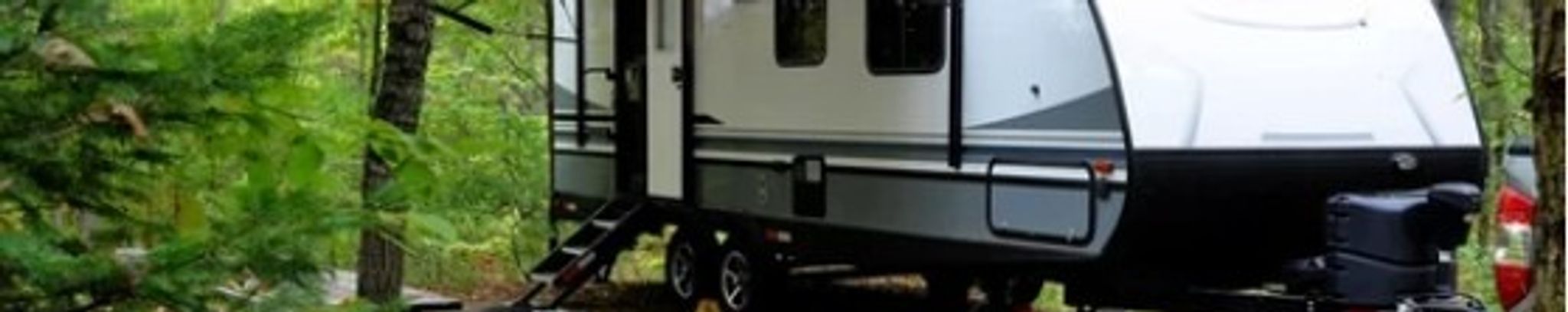 Cover for Marsha Cale's Obituary