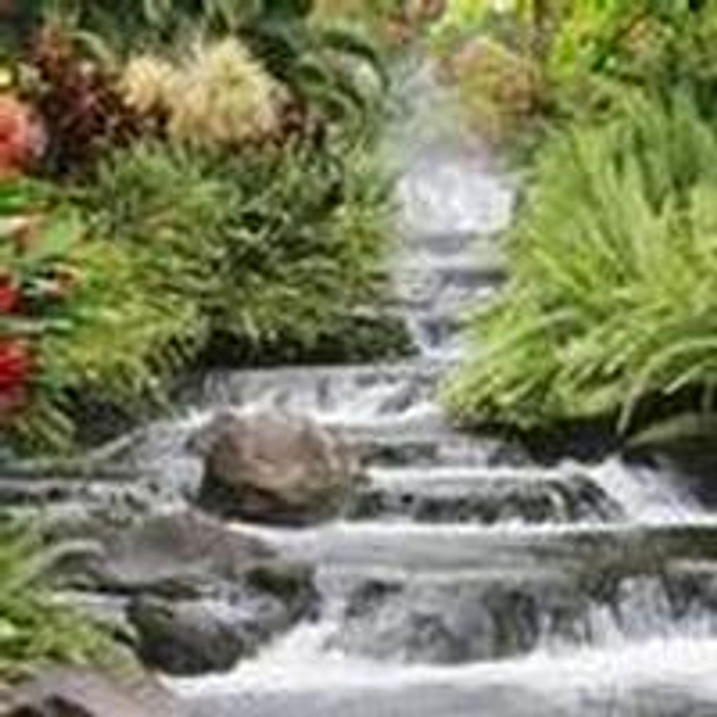 Darrell Spurlock  Jr.