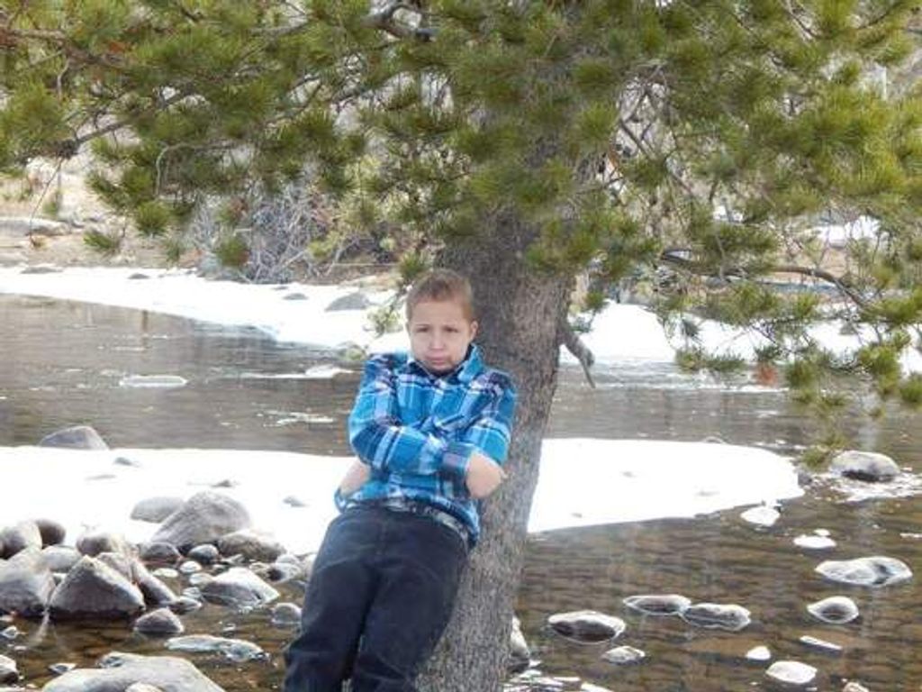 Steven Austin Wood Profile Photo