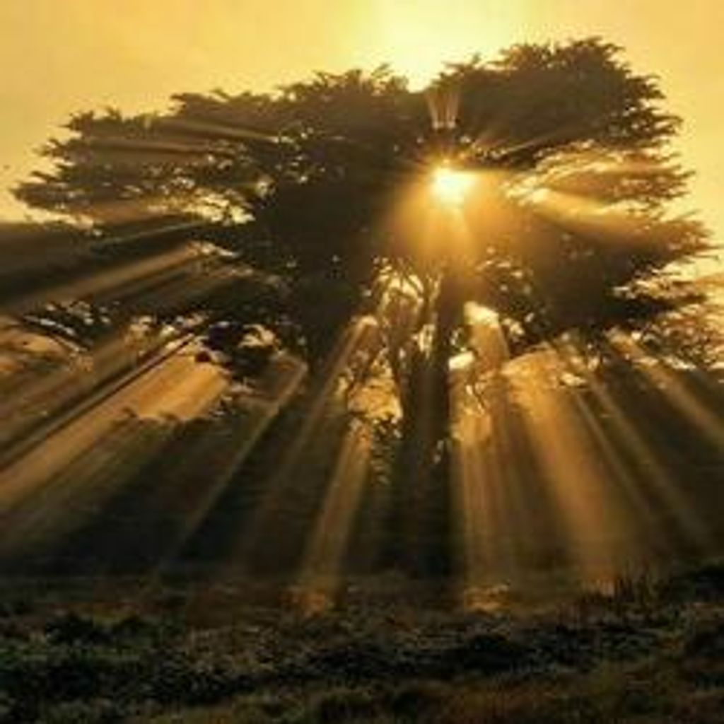 Jon Keith Burlingame