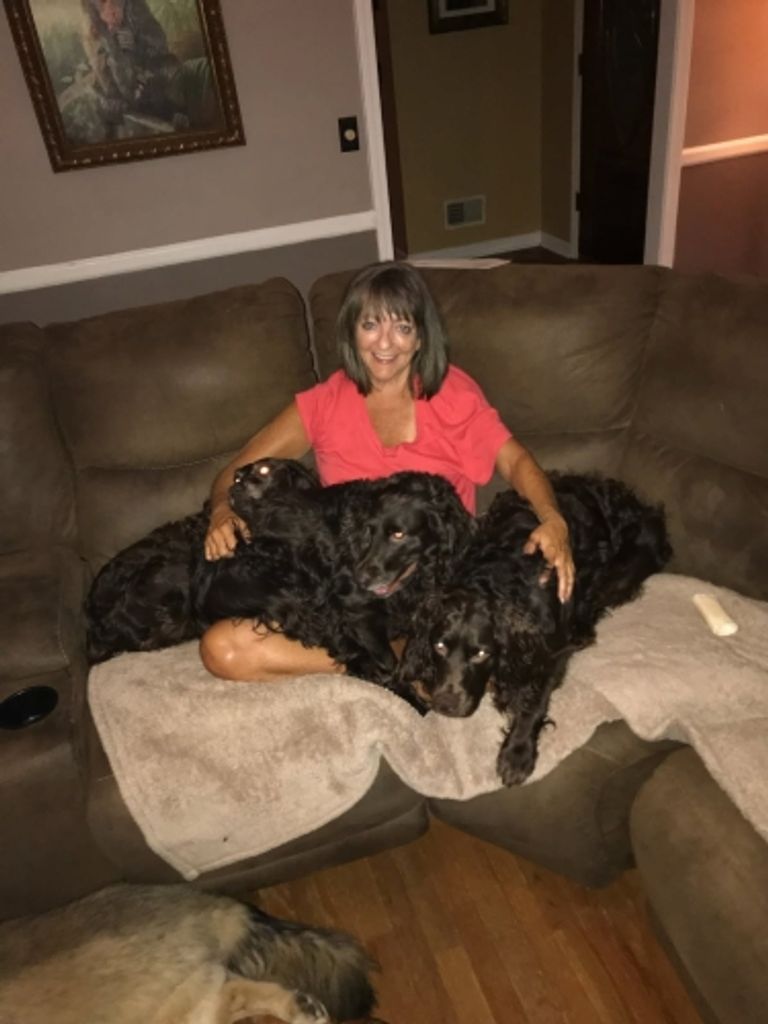 Shari W Sanford