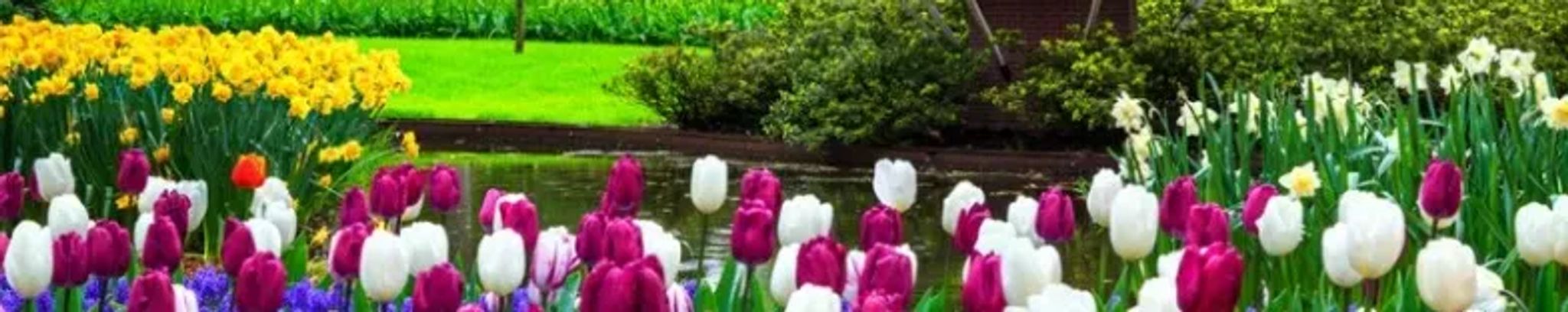 Cover photo for Thelma "Peanut" Marie Sapp Gulley's Obituary