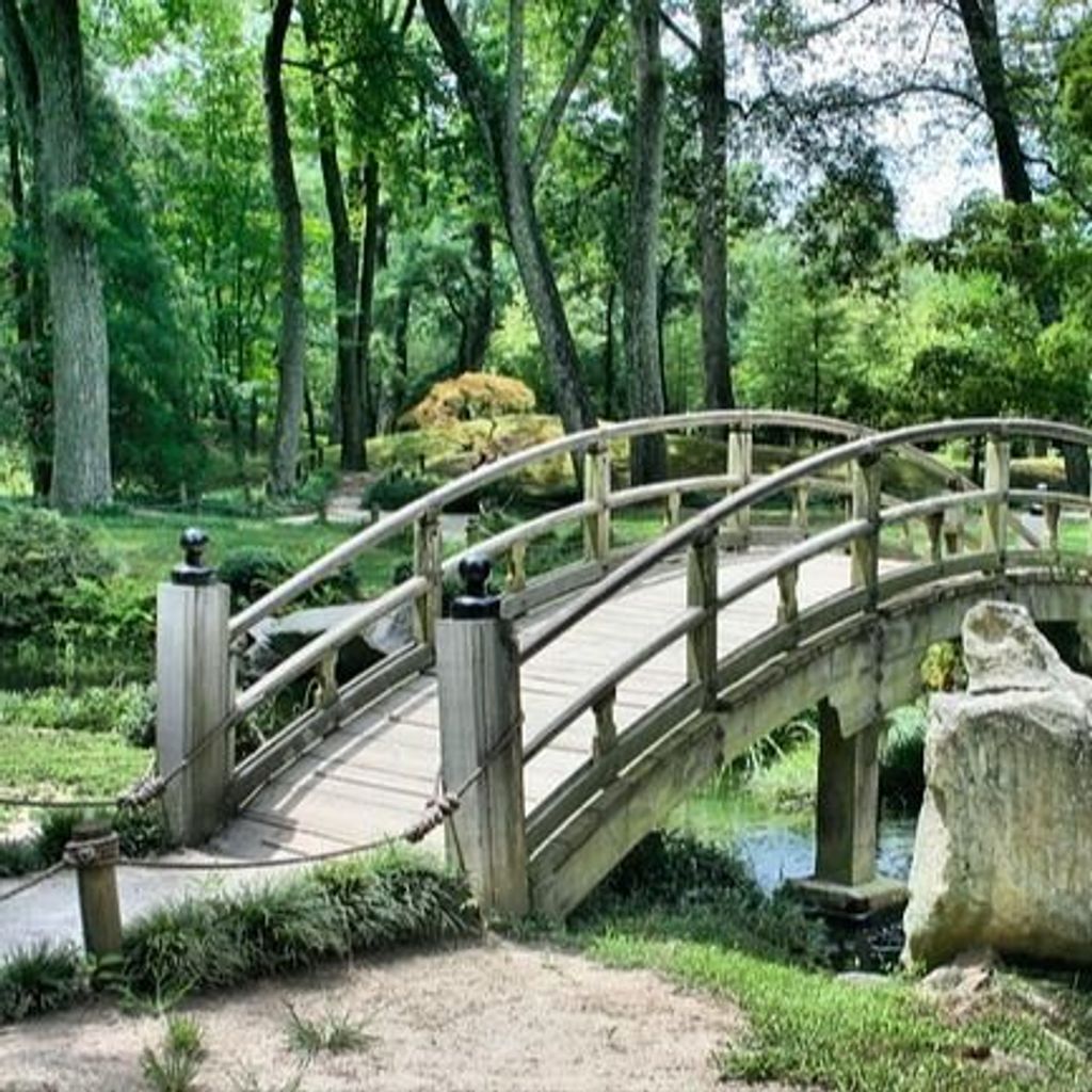 Thomas Reese Fleischmann Profile Photo