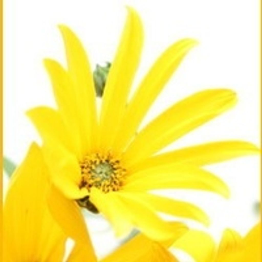 Mary Lou Langdon (Shea) Profile Photo