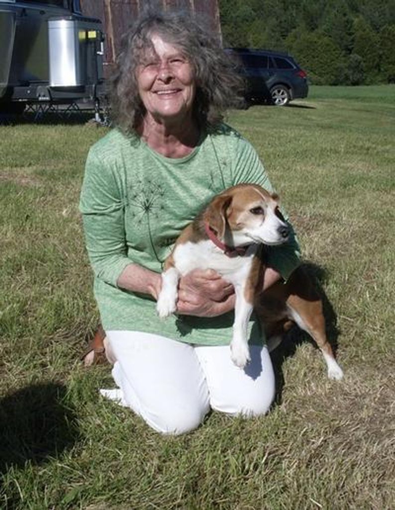 June Cook Profile Photo