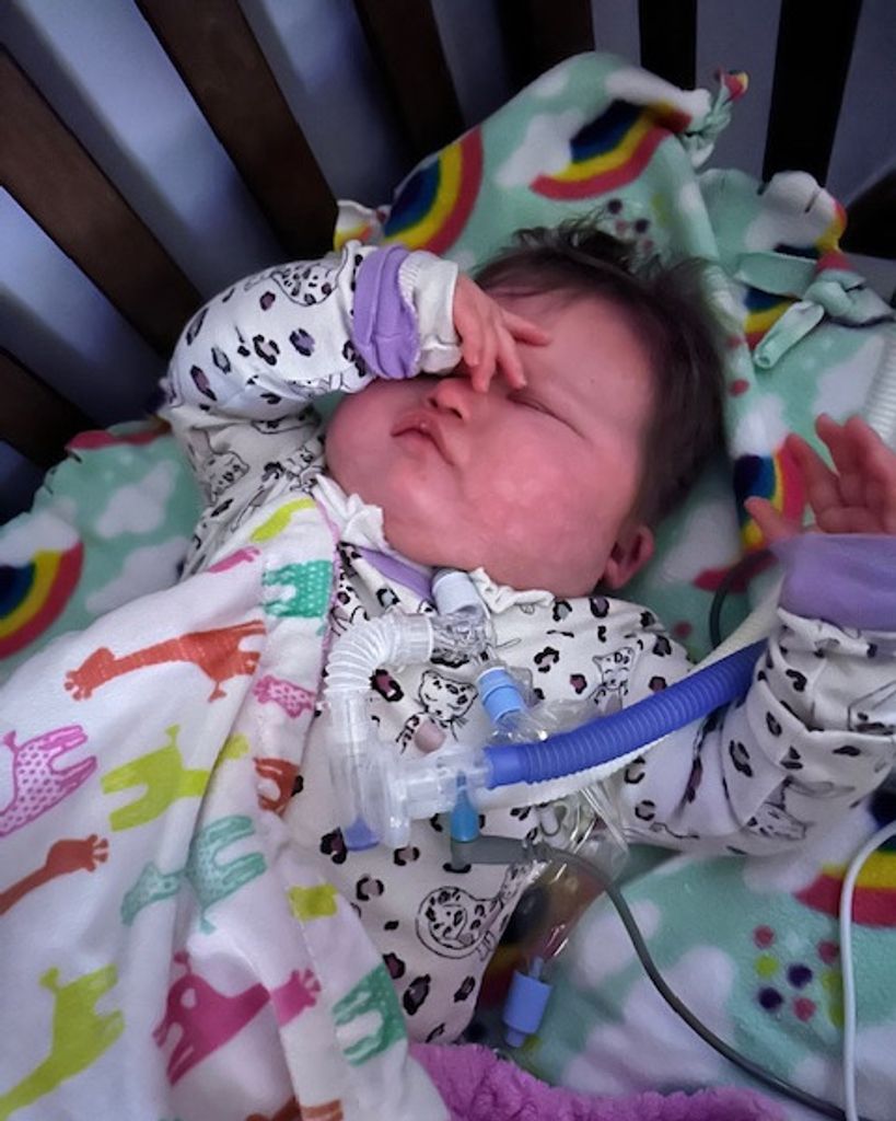 Hadleigh Faith Jones