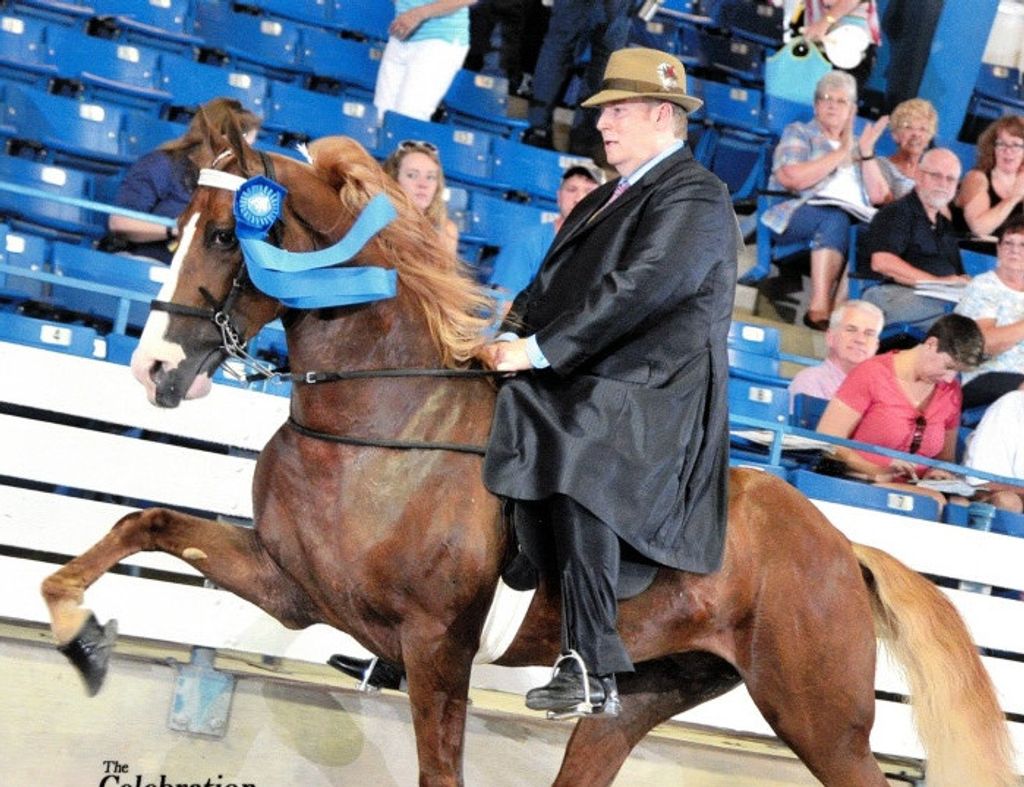 Darrin Sisk
