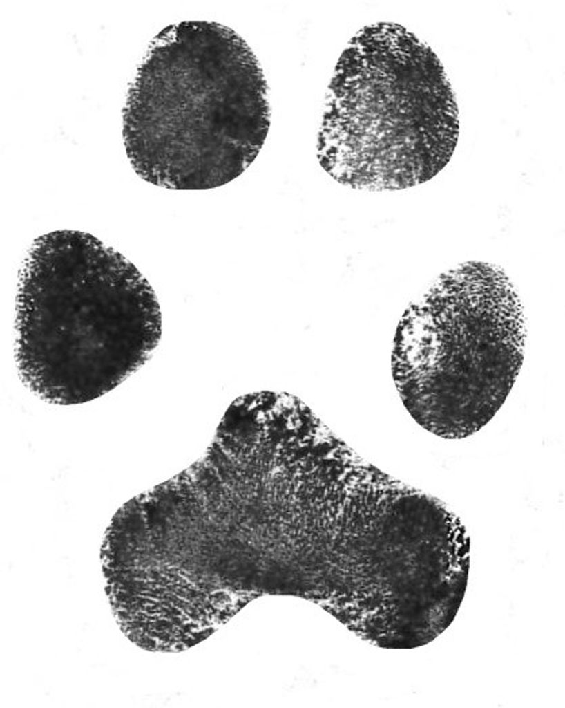 Lucy Turner Profile Photo