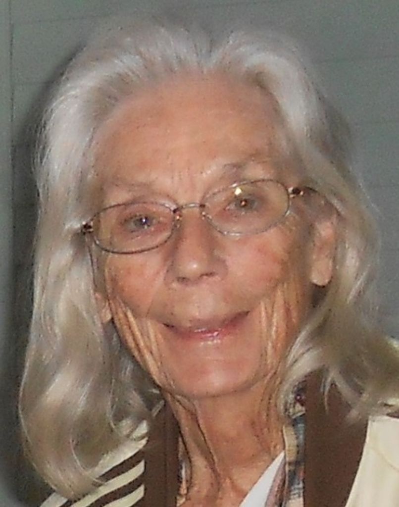 Shirley Ann (VanLynn)  Trebilcock