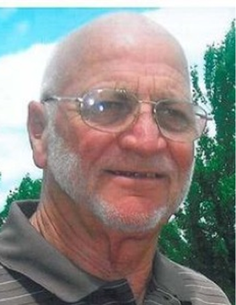 Albert D. Streb
