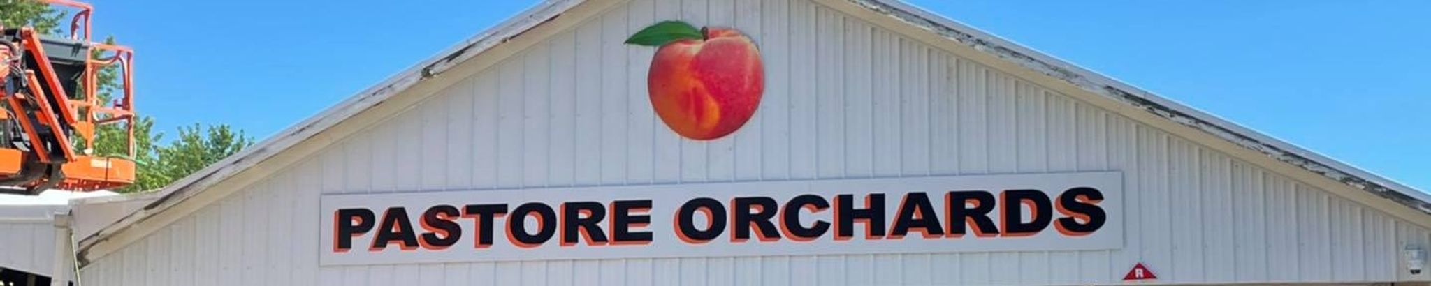 Cover for Helen M. "Bonnie" Pastore's Obituary