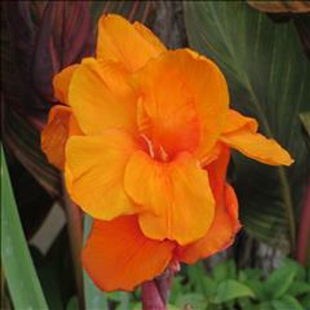 Sue Bilby Profile Photo