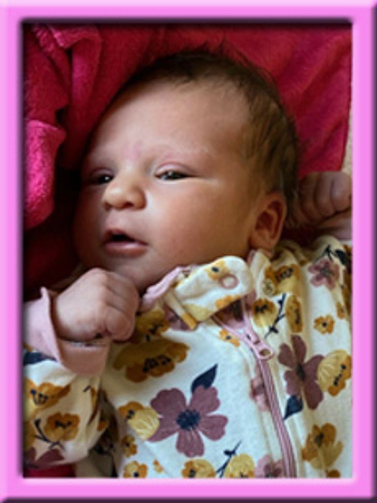 Lilly Rose Oickle