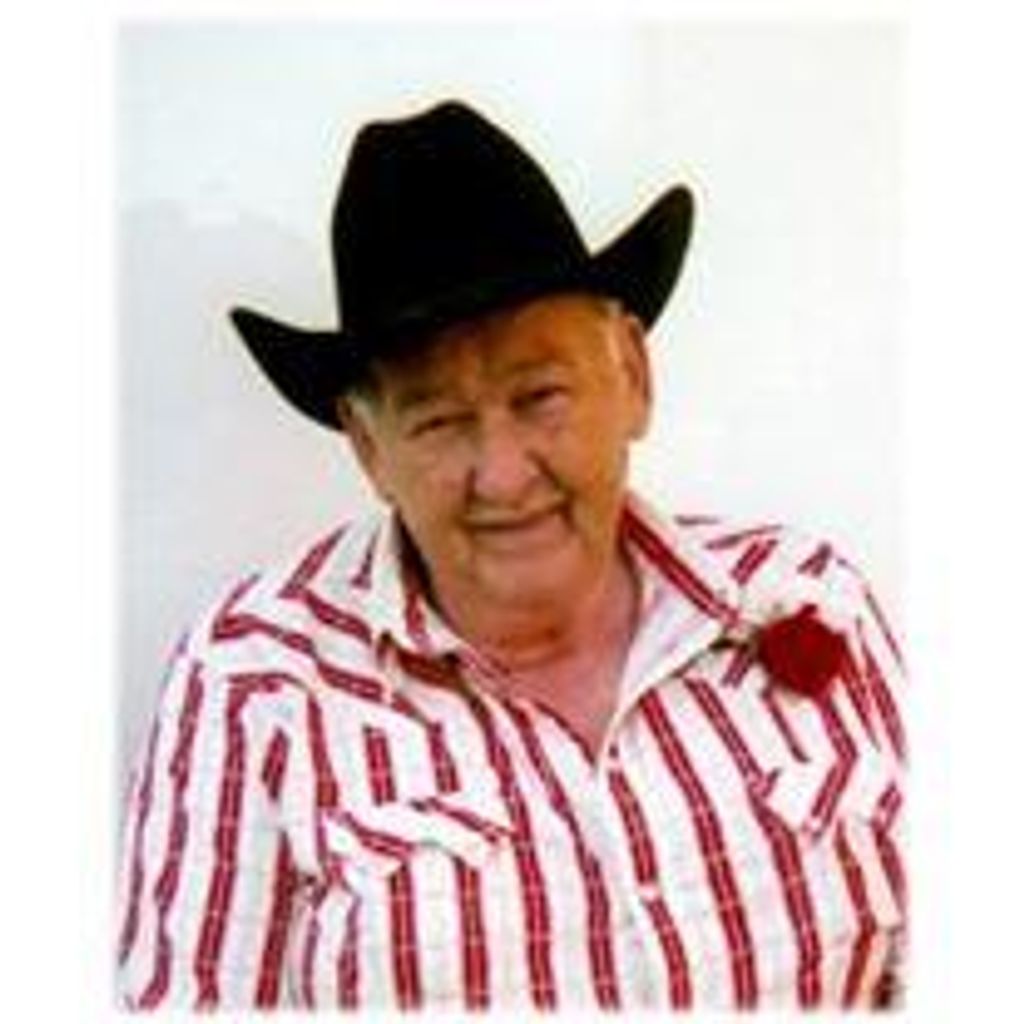 Harold Haugen