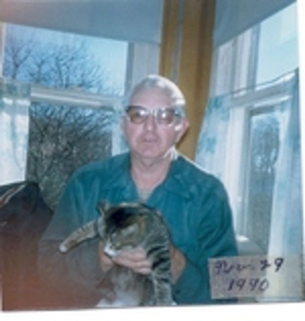 Stephen Llewellyn Profile Photo
