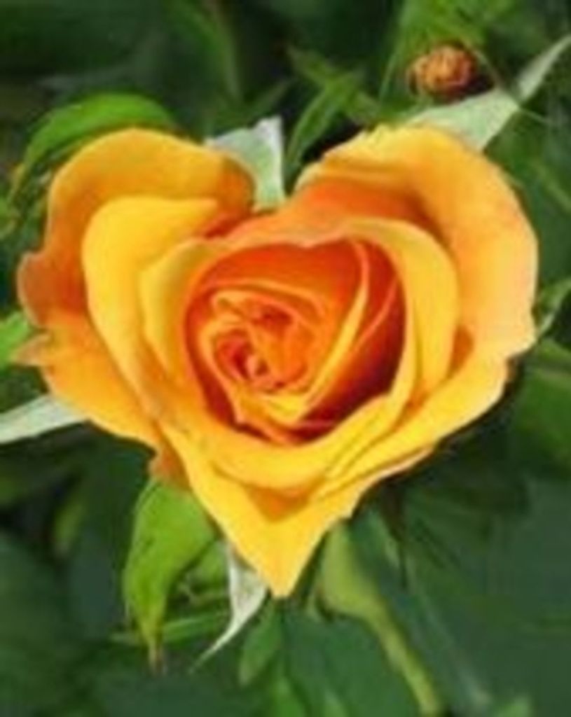 Doris Arlene Brown