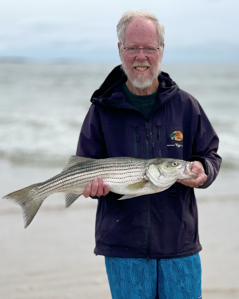 Donald C. Willner Profile Photo