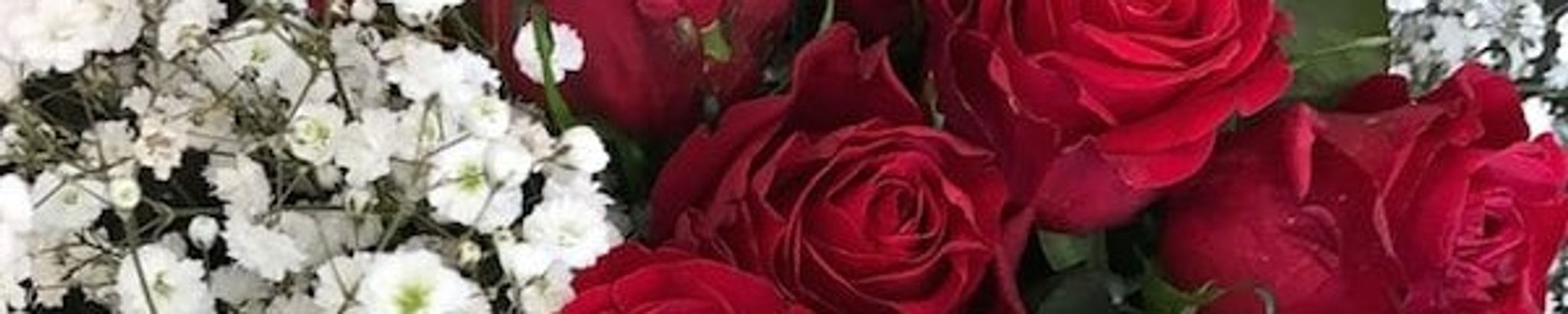 Cover photo for Patricia Arlene France's Obituary