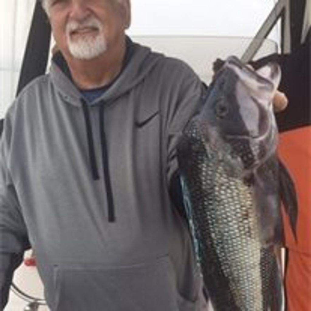 George J. Alevras Profile Photo
