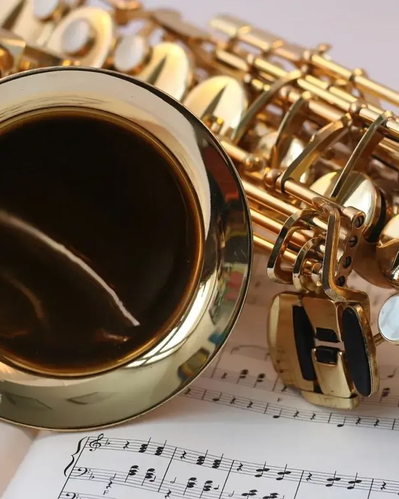 Donald Maiolo Profile Photo