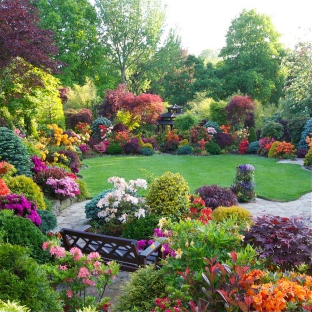 Ana Gonzalez Profile Photo