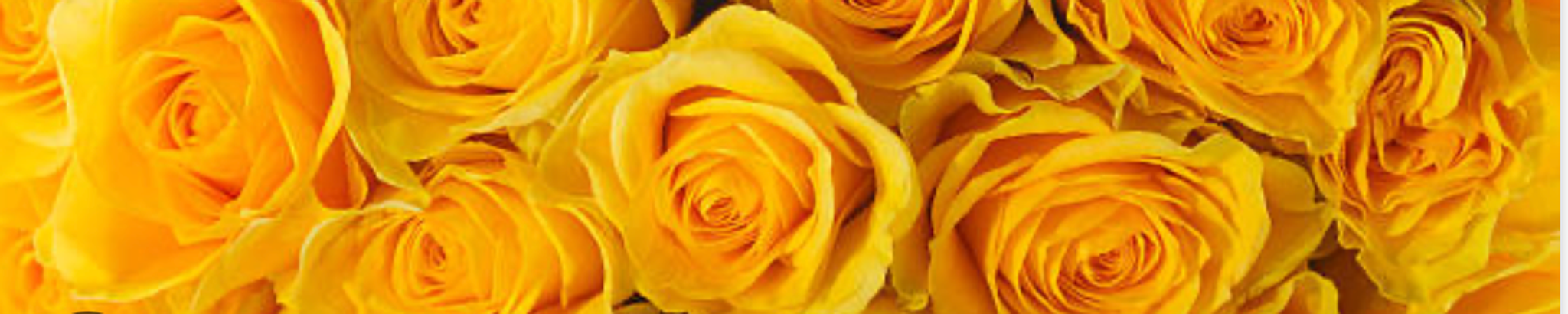 Cover photo for Anna M. Azar's Obituary