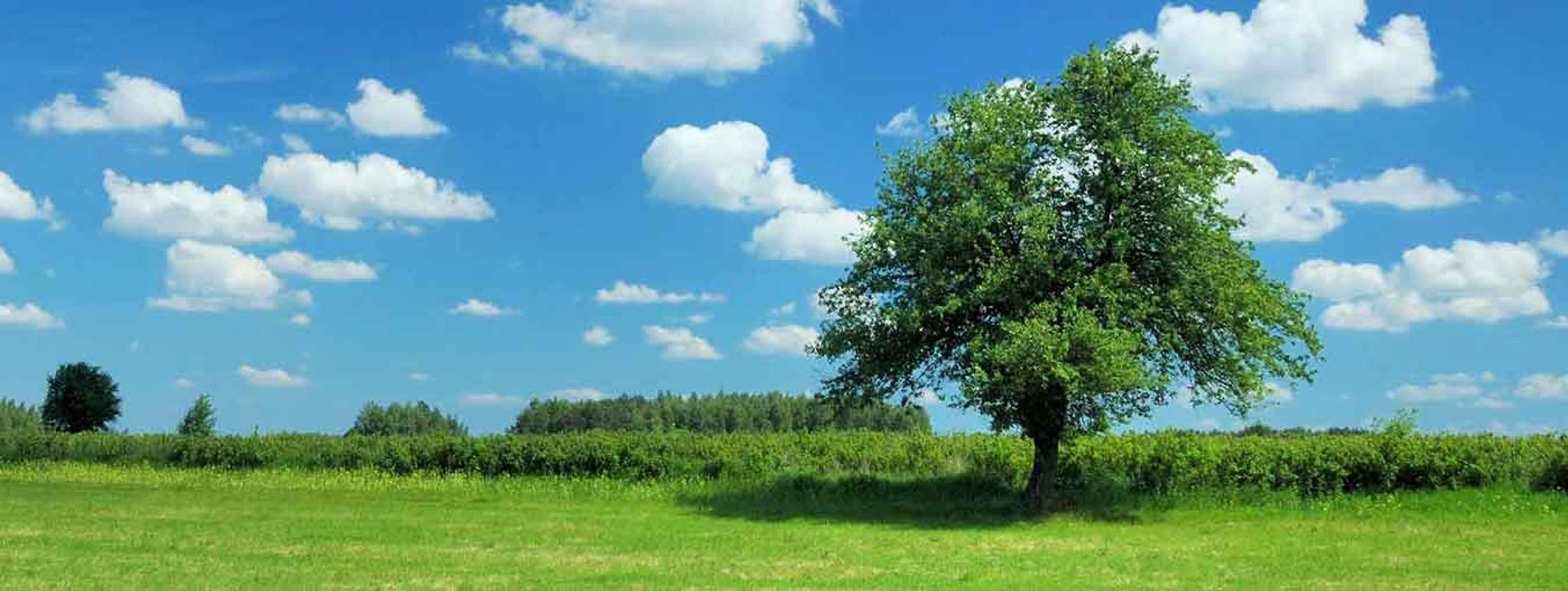 Cover photo for Ernest E. Wickey's Obituary