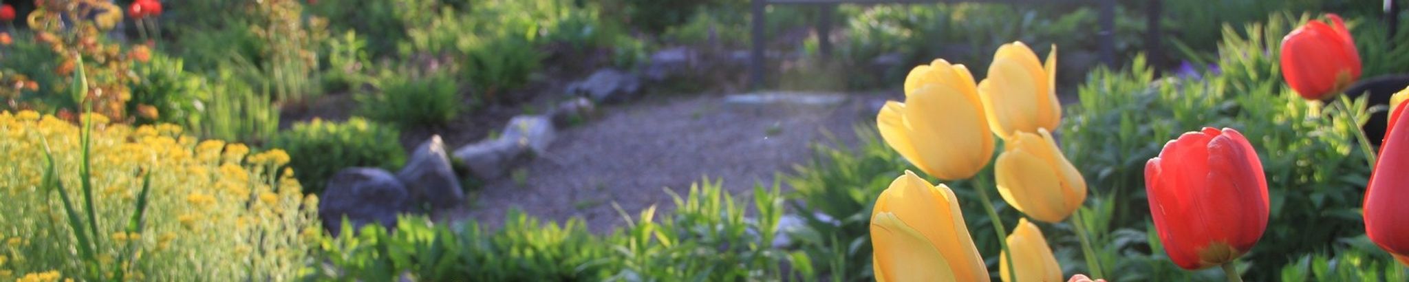 Cover photo for Joan Molly Susanna Gernant's Obituary