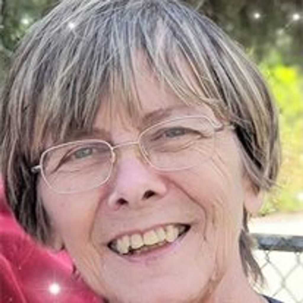 Susan I. Palmer