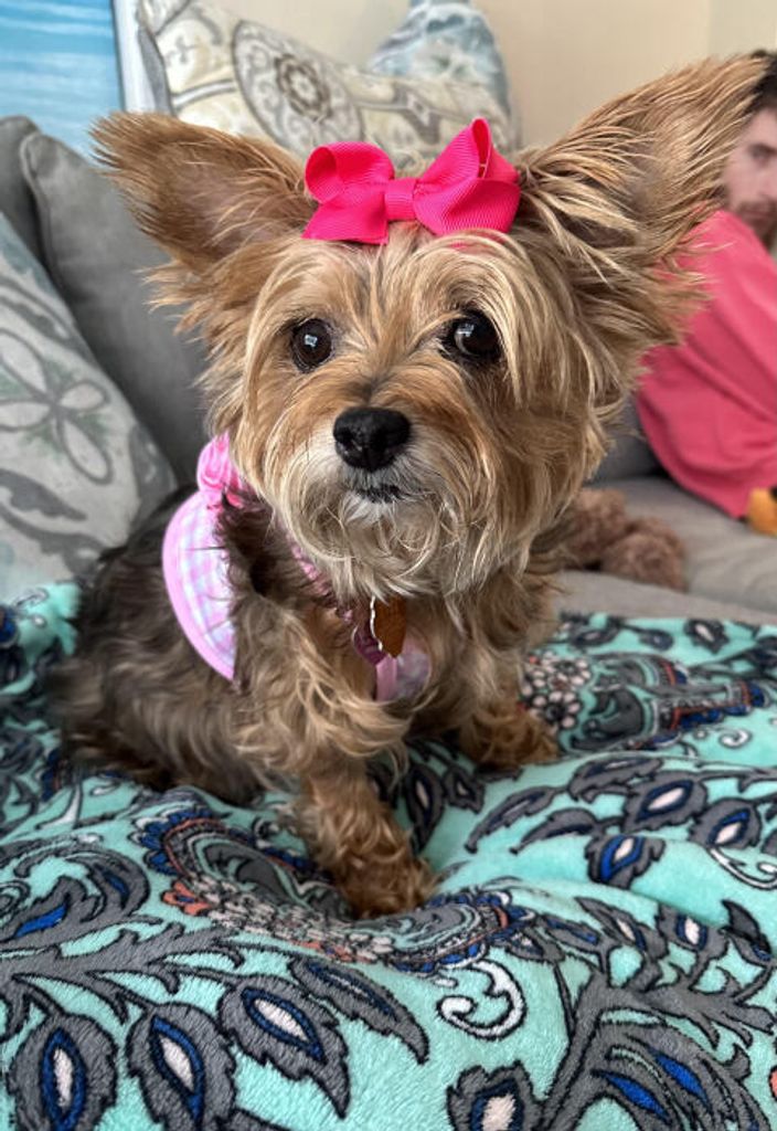 Ellie Mae Dawson Profile Photo