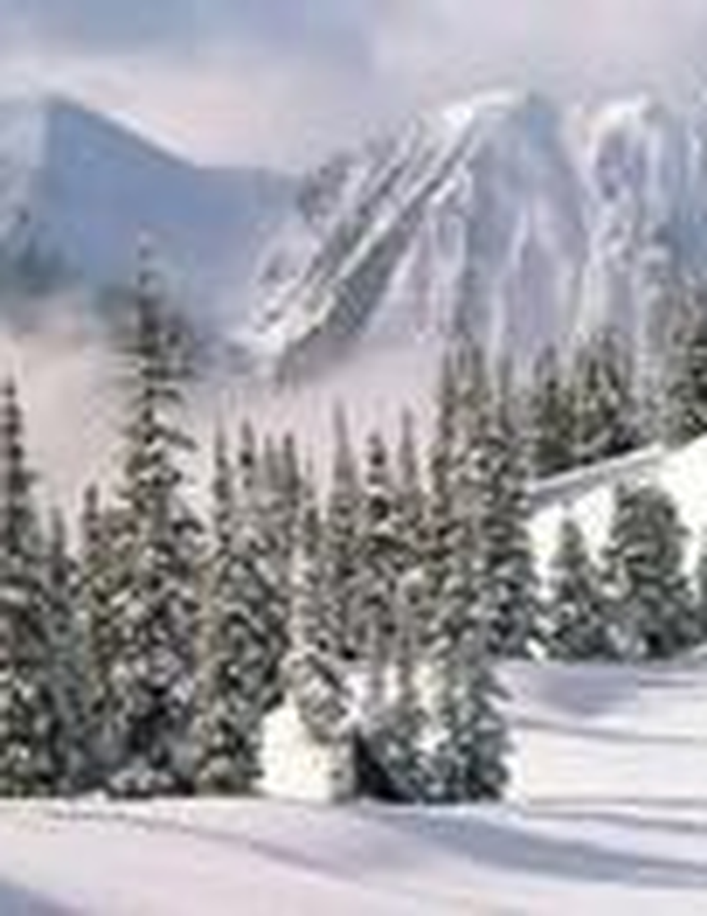 Melvin Andrew Millwood