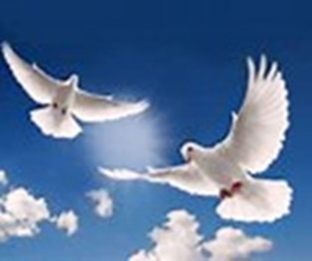 Nella Dean (Sims)  Watson Profile Photo