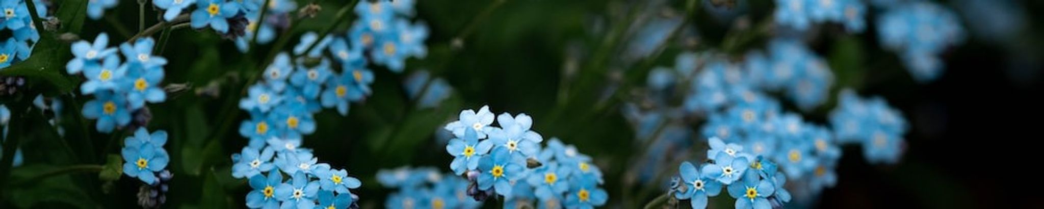 Cover photo for Helen M. Beaudin's Obituary