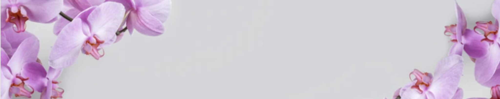 Cover for Mayra Patricia Corzo's Obituary