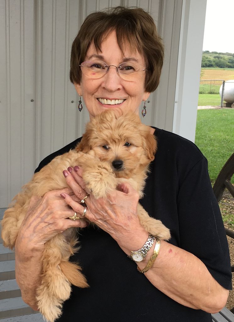 Nancy Lessig
