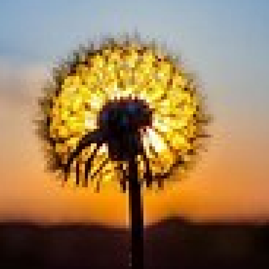 Abram Earl Mann Profile Photo