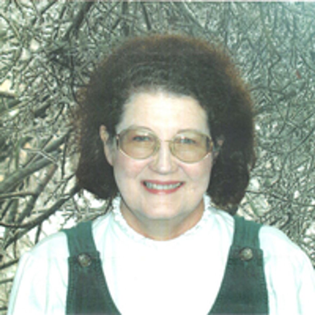 Mary Ann Mcclellan