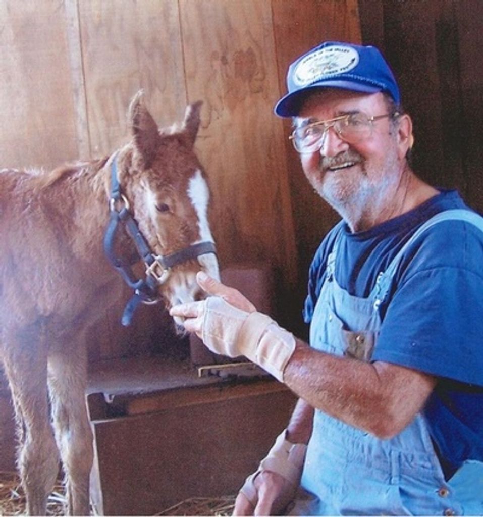 William "Bill" Boyd Hamrick