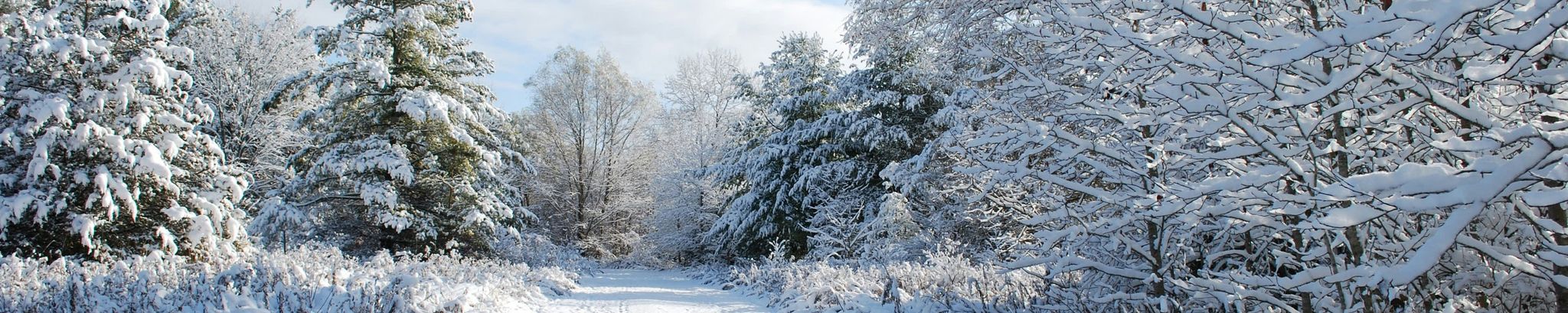 Cover for Eunice Bartels's Obituary