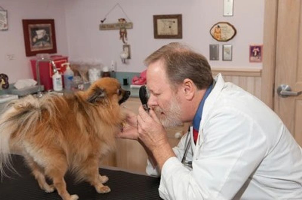 Dr. Ronald Grant Hendrikson, Dvm